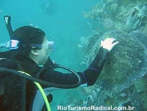 Mergulho em Arraial do Cabo - RJ